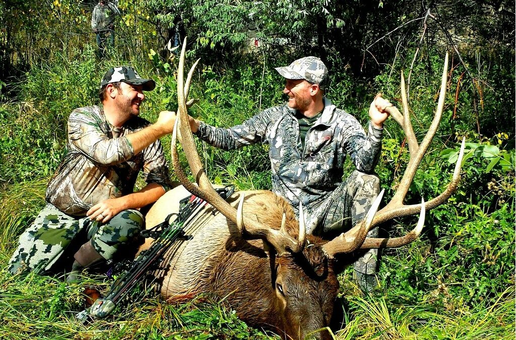 Successful Elk Bow Hunt!