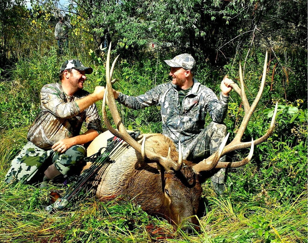 Successful Elk Bow Hunt!